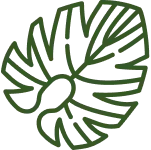 Sản phẩm tinh tế